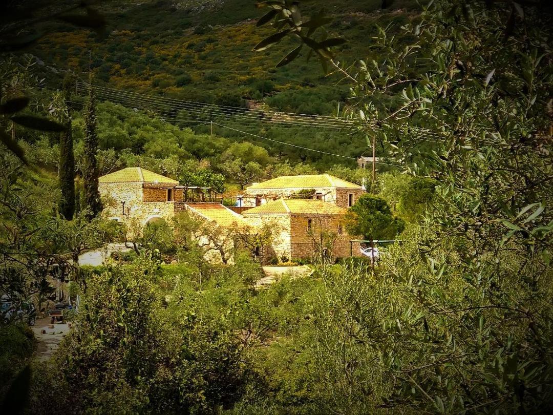 Tsivouli Accommodation Lithakia  Екстер'єр фото