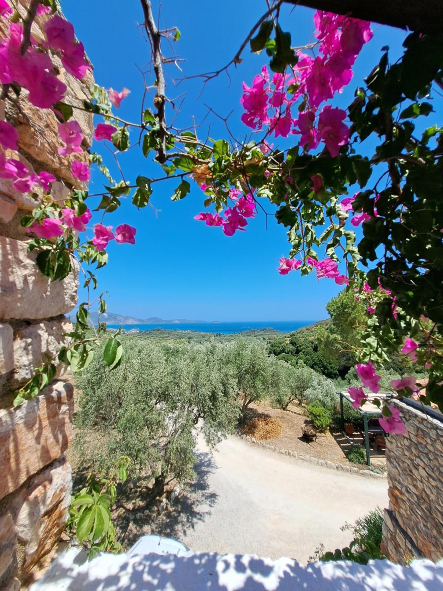 Tsivouli Accommodation Lithakia  Екстер'єр фото